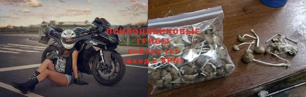 а пвп мука Алзамай