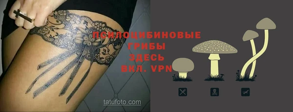 прущая мука Алексин