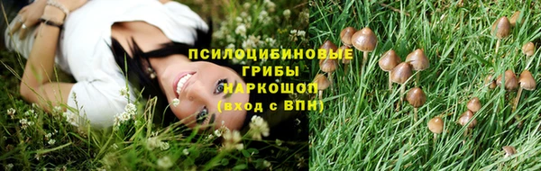 а пвп мука Алзамай