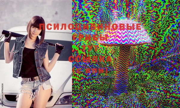 а пвп мука Алзамай